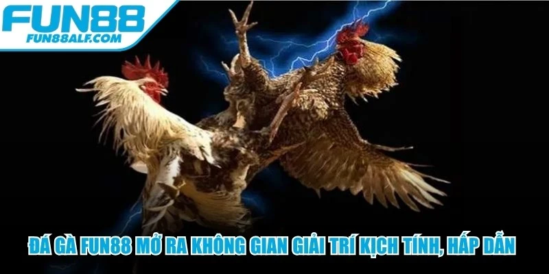 Đá gà FUN88 mở ra không gian giải trí kịch tính, hấp dẫn bậc nhất