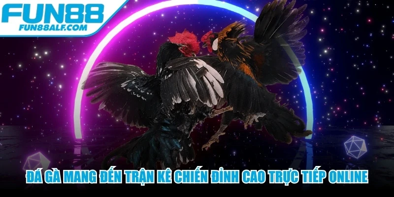 Đá gà mang đến những trận kê chiến đỉnh cao trực tiếp online